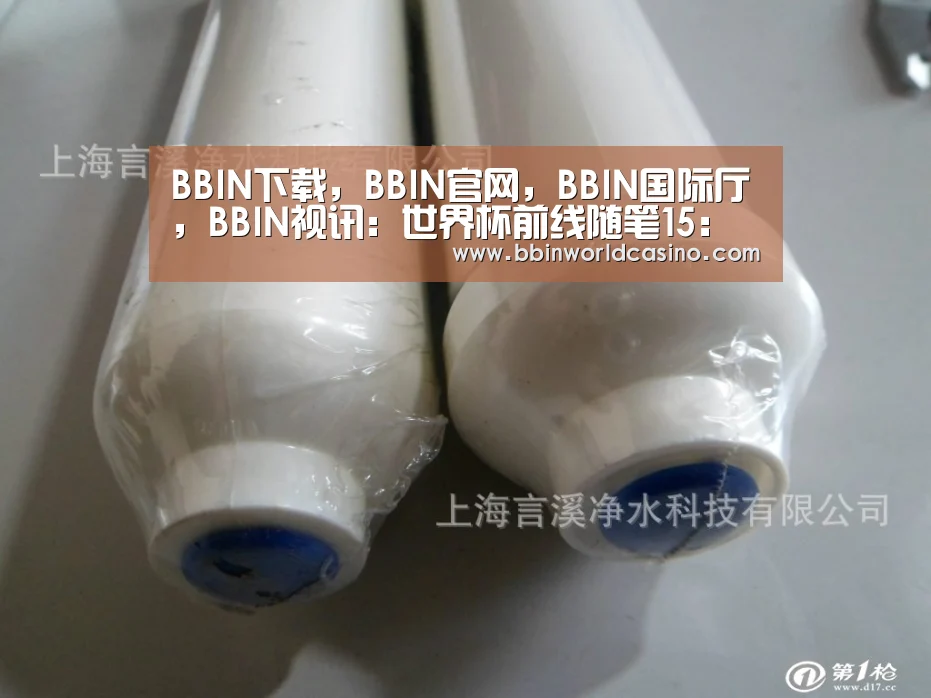 BBIN下载，BBIN官网，BBIN国际厅，BBIN视讯