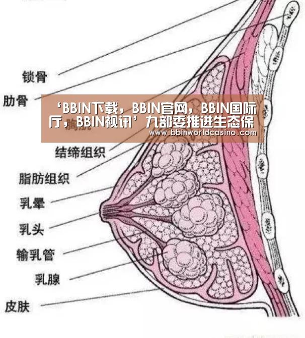 ‘BBIN下载,BBIN官网,BBIN国际厅,BBIN视讯’九部委推进生态保护市场化机制建设(图1) BBIN下载,BBIN官网,BBIN国际厅,BBIN视讯
