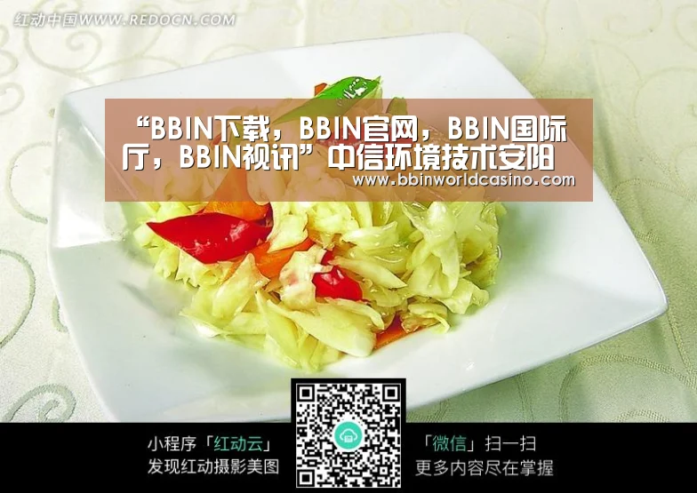 “BBIN下载,BBIN官网,BBIN国际厅,BBIN视讯”中信环境技术安阳印染示范园项目全面加快建设(图4) BBIN下载,BBIN官网,BBIN国际厅,BBIN视讯